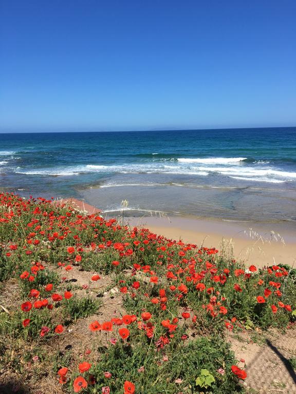Artemisia Sardegna Hotell Tergu Eksteriør bilde